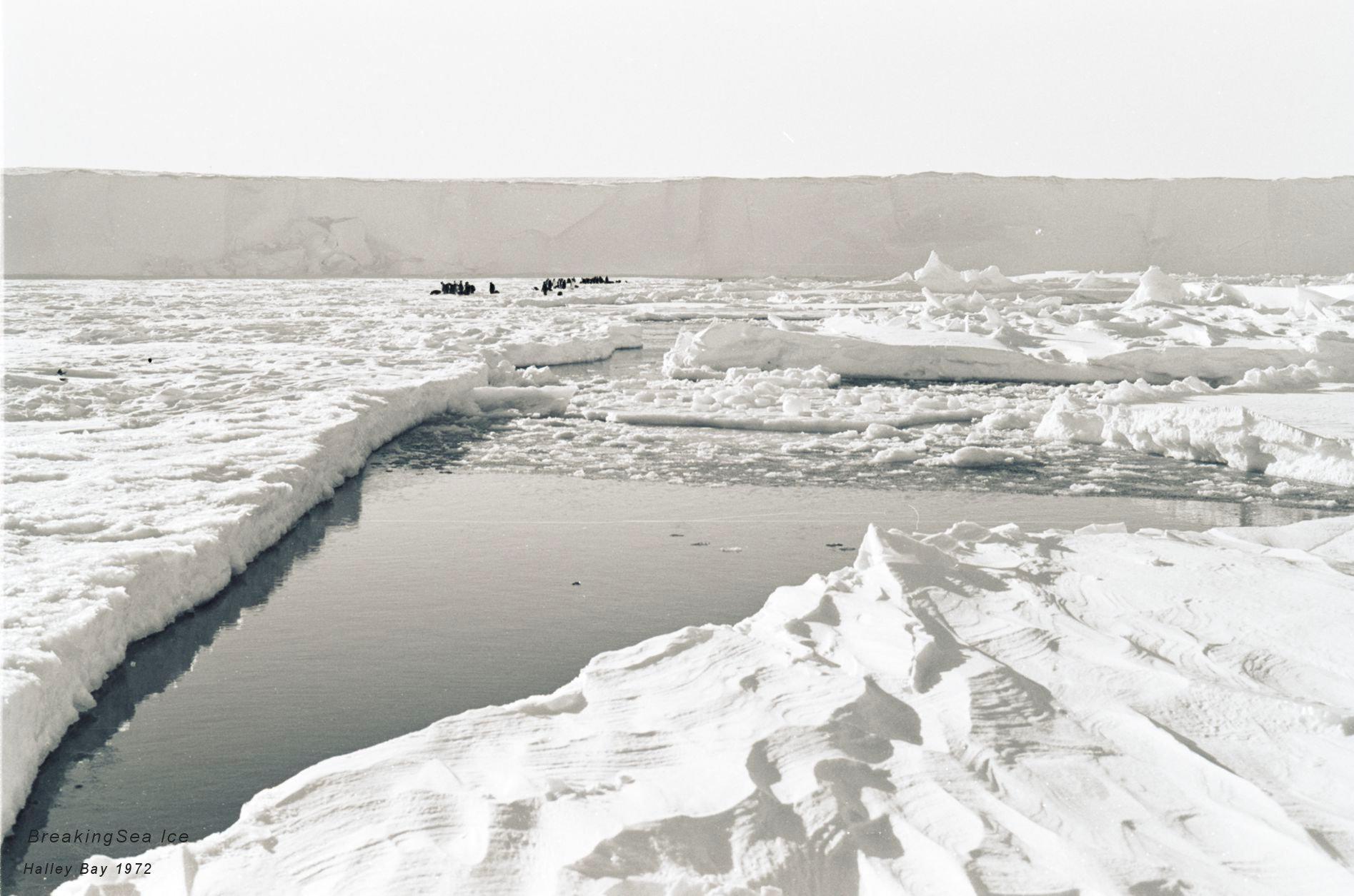 Breaking Sea Ice (2)